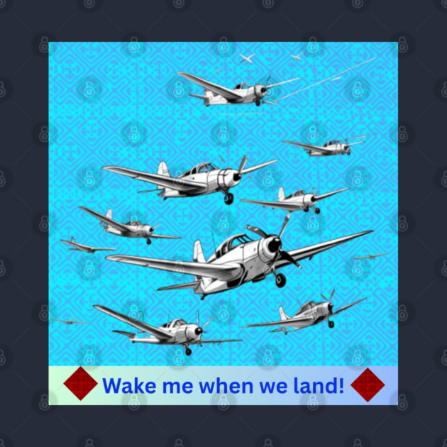 Wake Me When We Land – Vintage Plane Flight on Hmong Indigo by Pimcolle