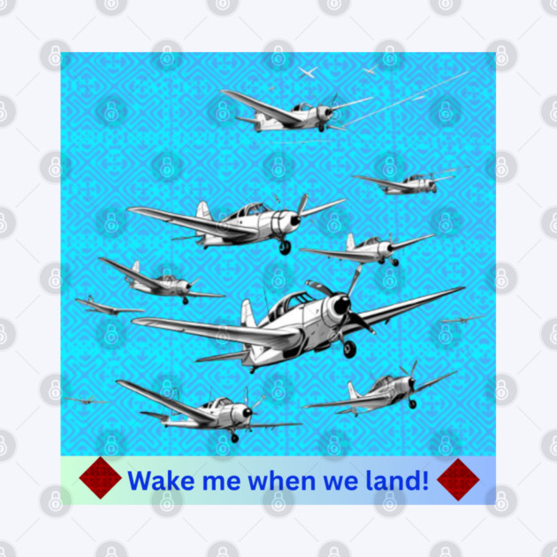 Wake Me When We Land – Vintage Plane Flight on Hmong Indigo by Pimcolle