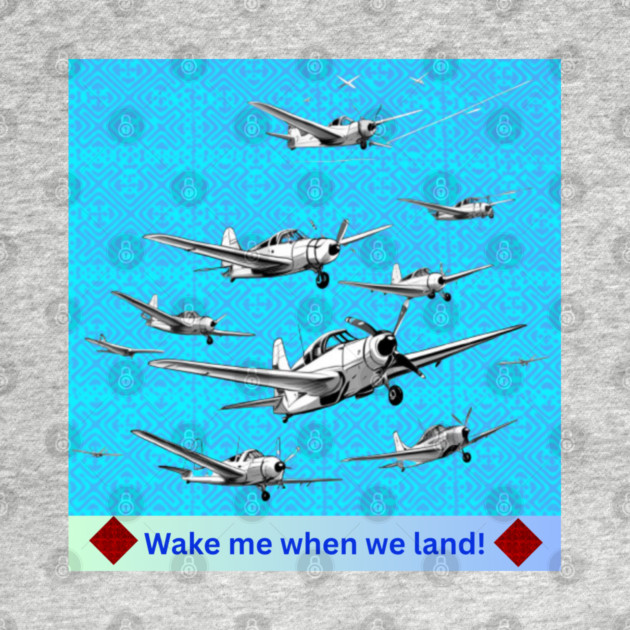 Wake Me When We Land – Vintage Plane Flight on Hmong Indigo by Pimcolle