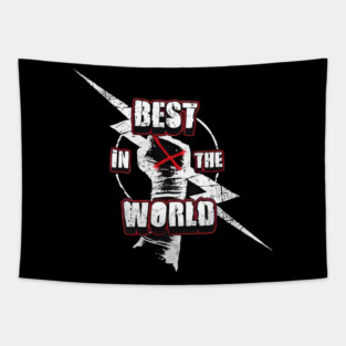 CM punk best in the world Tapestry