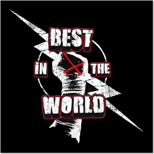 CM punk best in the world Posters and Art
