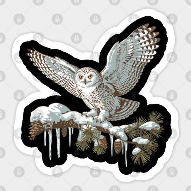 Snowy Owl on Winter Pine Branch Vintage Illustration Sticker by BirdsnStuff