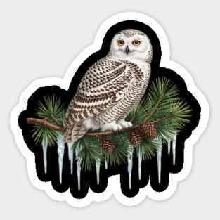 Snowy Owl on Icy Pine Branch Vintage Winter Art Sticker