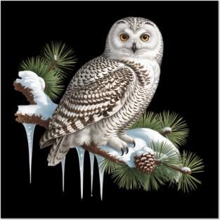 Snowy Owl on Icy Pine Branch Vintage Winter Art Posters and Art
