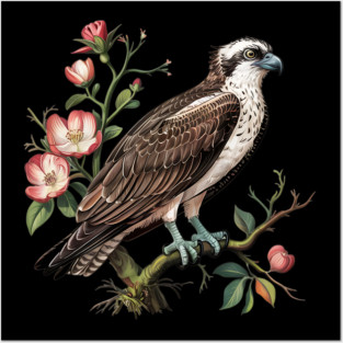 American Osprey Botanical Wildlife Bird Art Posters and Art