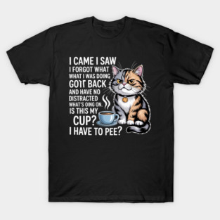 i came, i saw i forgot what i was doing retraced my steps got distracted on my way back have no idea what's going on and now i have to pee T-Shirt