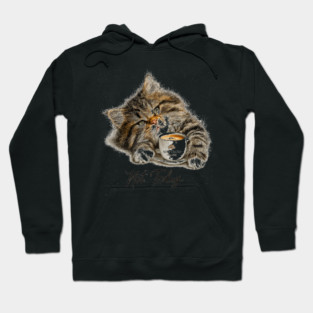 not today sleep cat Hoodie