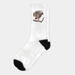 Einstein Parrot Waving Socks