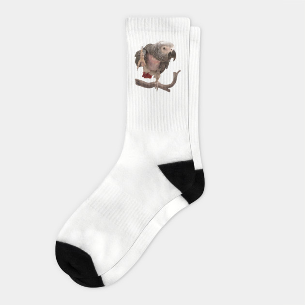 Einstein Parrot Waving Socks by Einstein Parrot
