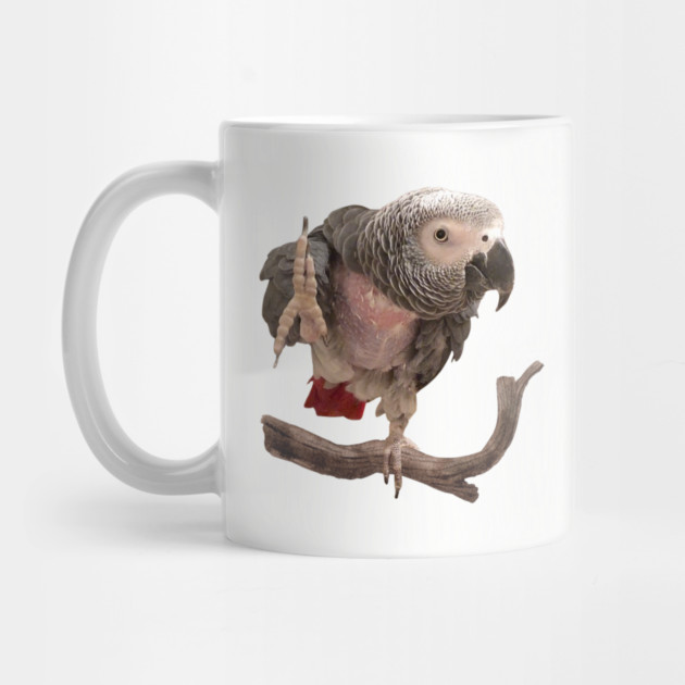 Einstein Parrot Waving by Einstein Parrot