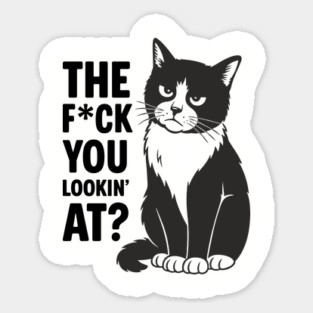 The F*ck You Lookin' At Rude Sarcastic Cattitude Magnet
