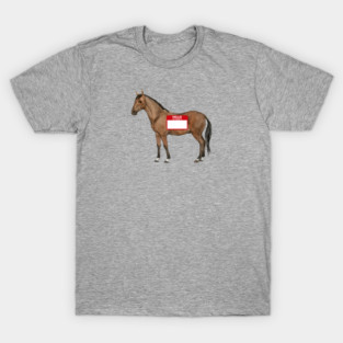 A Horse with No Name T-Shirt