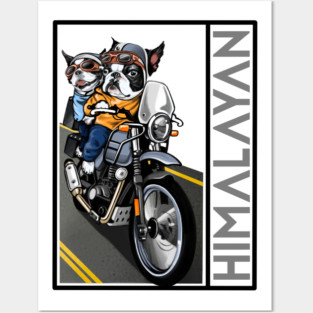 biker dog royal enfield himalayan Posters and Art