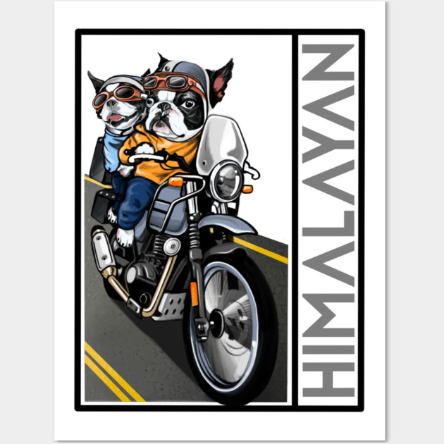 biker dog royal enfield himalayan Wall Art by monsalveautos