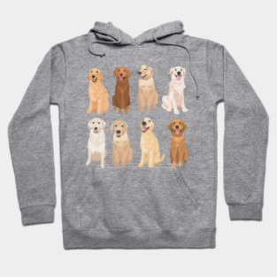 Golden Retriever Breed Variants Hoodie