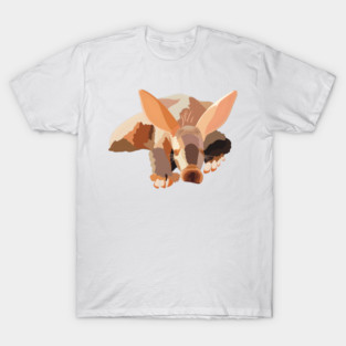 A is for Aardvark T-Shirt
