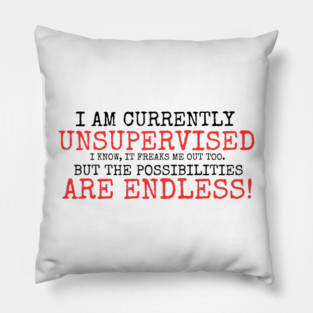 I AM CURRENTLY UNSUPERVISED I KNOW IT FREAKS ME OUT TOO BUT THE POSSIBILITIES ARE ENDLESS Pillow