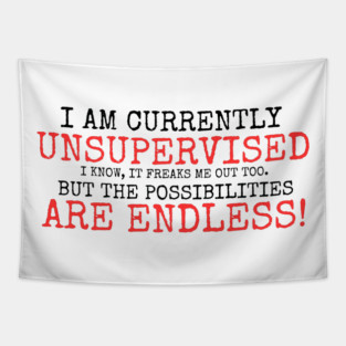 I AM CURRENTLY UNSUPERVISED I KNOW IT FREAKS ME OUT TOO BUT THE POSSIBILITIES ARE ENDLESS Tapestry