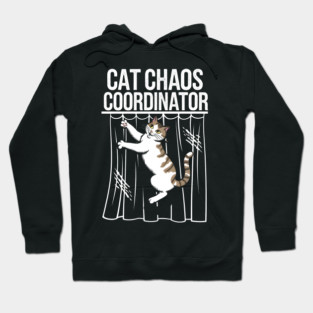 Cat Chaos Coordinator – Funny Cat Lover Hoodie