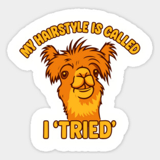 My Hairstyle Is Called I Tried Don't Care Lazy Day Magnet