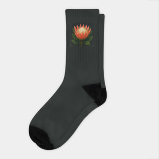 King Protea Watercolor Flower – Botanical Art Socks