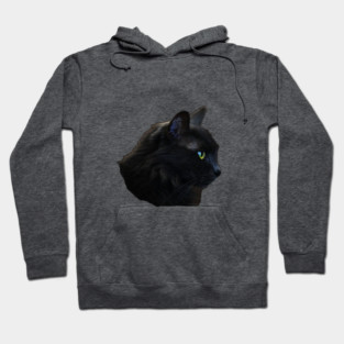 Kitty Cat Portrait for Cat Lovers Hoodie