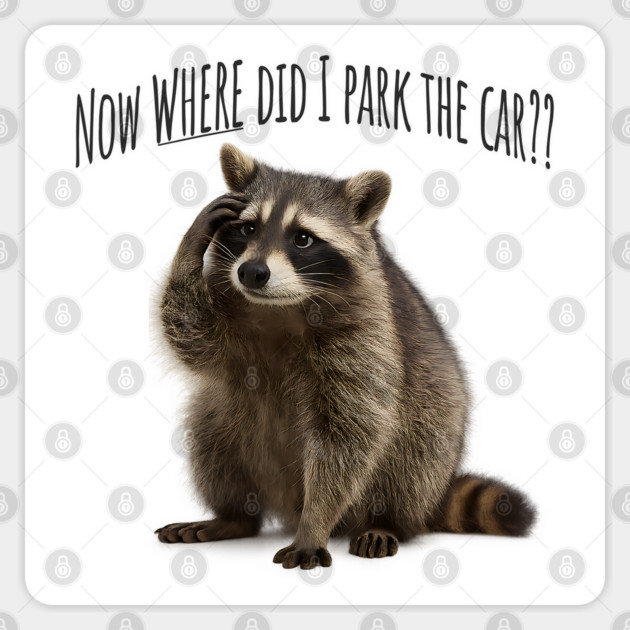 Forgetful Raccoon "Now WHERE Did I Park The Car?" Sticker by Luxinda