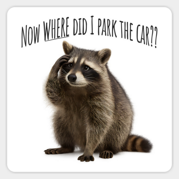 Forgetful Raccoon "Now WHERE Did I Park The Car?" Magnet by Luxinda
