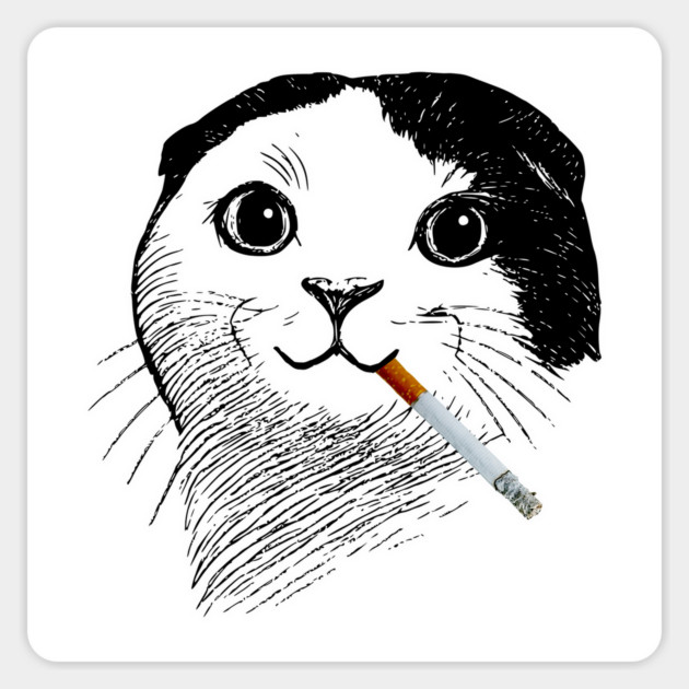 Silly Gen Z Smoking Cat Meme design Magnet by Luxinda