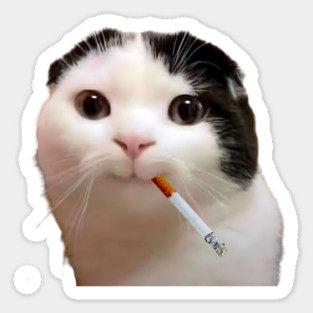 Silly Gen Z Smoking Cat Meme design Sticker
