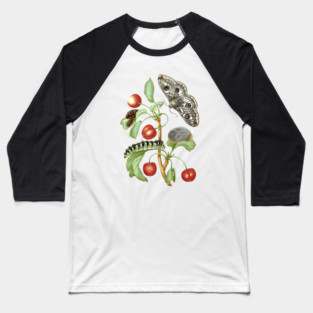 Metamorphosis of the Peacock Eye moth Baseball T-Shirt