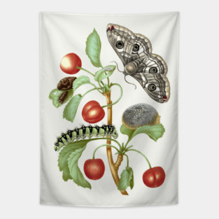 Metamorphosis of the Peacock Eye moth Tapestry