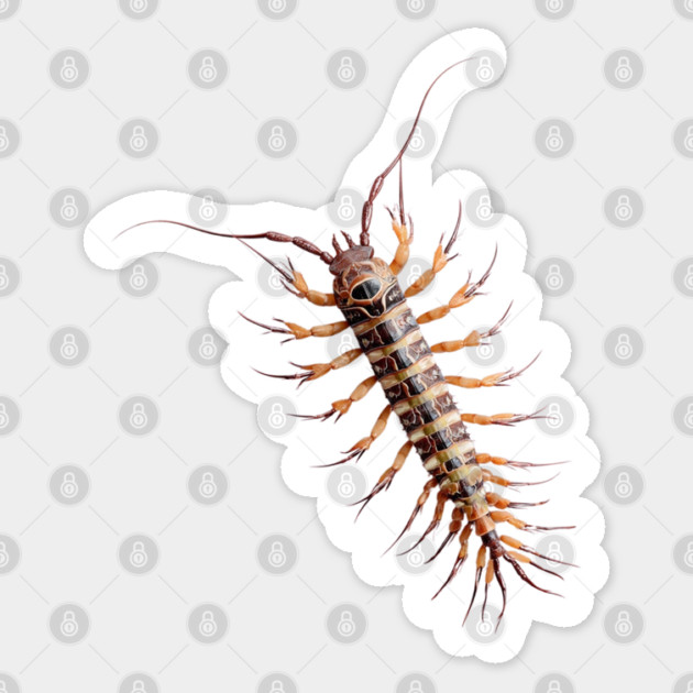 Realistic Centipede Trompe l'oeil Gag Prank Insect Sticker by TuncGK
