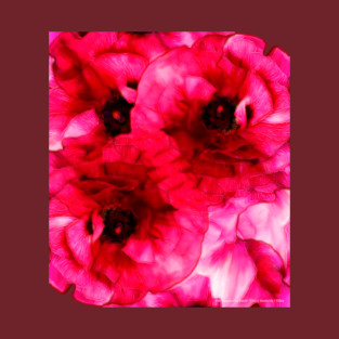 Red Ranunculus Patch T-Shirt
