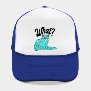 what? naughty cat art Hat