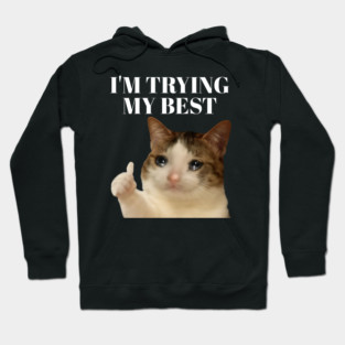 I'm trying my best funny crying cat meme Hoodie