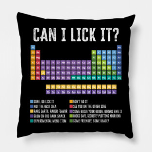 Can I Lick It Chemistry Teacher Science Day Pillow