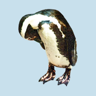 Magellanic Penguin T-Shirt