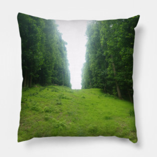 The Great Divide Pillow