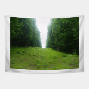 The Great Divide Tapestry