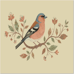 Common Chaffinch in Delicate Botanical Style Posters and Art