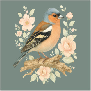 Common Chaffinch with Blossoms in Botanical Art Posters and Art