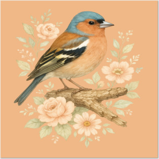 Common Chaffinch with Blossoms in Botanical Art Posters and Art