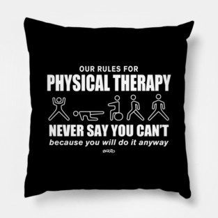 Physical Therapy - 1 Pillow
