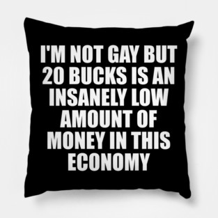 I'm Not Gay But 20 Bucks Is An Insanely Low Amount Of Money In This Economy Pillow