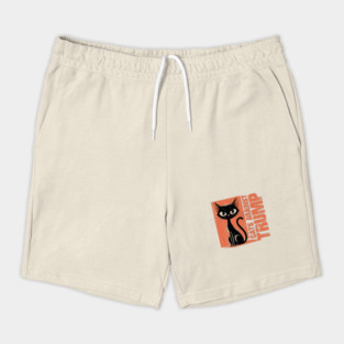 Cats-Against-Trump Shorts
