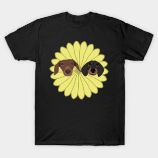 Sunflower Starbox Dachshunds T-Shirt