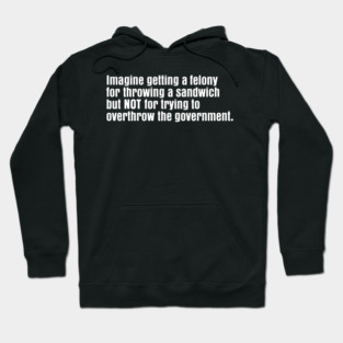 Political Satire Quote About Felony Sandwich Joke And Government Hypocrisy Hoodie