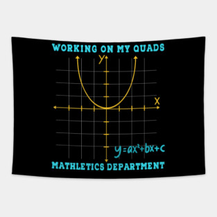 Funny Quadratic Equation Math Graph Joke Tapestry