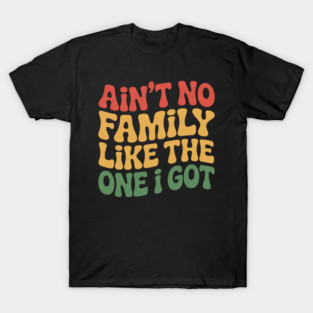 Retro Color Ain’t No Family Like The One I Got Tee T-Shirt